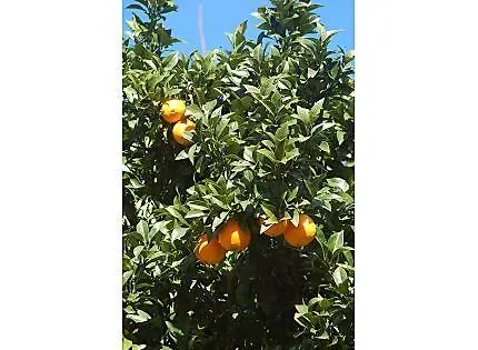 Appartement Antzomendi à Mutriku
